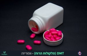 DMT חומר פסיכדלי ממשפחת הטריפטנים